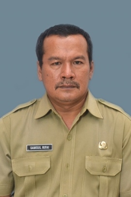 Samsul R