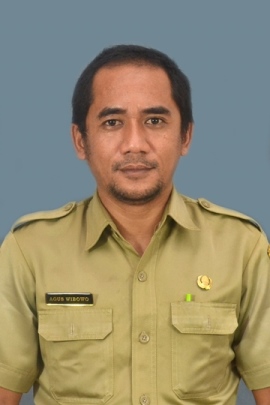 Teguh S
